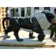 Black Outdoor 120cm Lion Statue With Ball Stone Carving Sculpture