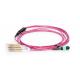 Om4 Mpo Aqua To Lc Fiber Optic Patch Cord Fanout 8f Cores 3.0mm To 2.0mm Ofnp Cable