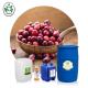 OEM ODM Welcome Massage Essential OIls Organic Cranberry Seed Oil