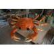 Crab Resin Outdoor Abstract Sculpture Wall Or Interior Decoration