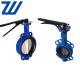 Wafer Type Ductile Iron Butterfly Valve Lever Operation