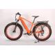 Mechanical Disc Brake Electric Assist Mountain Bike 500W 750w high speed