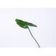 Alocasia Fake Blossom Branches Centerpieces Silk Real Touch Rejuvenating Lush Fronds