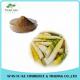 Growing Naturally Bamboo Shoots Extract/Best Price Phyllostachys Pubescens Extract