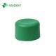 Control Structure Customization Plastic Cap for PPR End Cap Hot Water Pipe Fittings