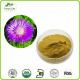 Protect Liver Effect Milk Thistle Seed Extract 40% Silymarin