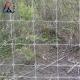 Goat Farming Cattle Sheep Railing Fence Metal Fixed Knotted Iron Wire Mesh