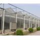 Multi Span Polycarbonate Greenhouse