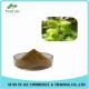 Low Price Siberian Cocklebur Fruit Extract Powder 5:1 10:1