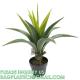 Artificial Agave Plant Potted Plants, Artificial Plant Perfect for Home Office Indoor Decoration
