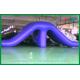 Childrens Water Park Inflatable Water Toys , PVC Funny Swimming Pool Slides