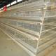 2.8mm-3.5mm Cage Wire Diameter Poultry Farming Cage System for High Rearing Efficiency Adela