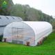 Automatic Ventilation System High Arch Poly Tunnel Greenhouse With Insect Nets