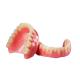 Good Translucent Appearance Removable Dental Crown High Density High Strength