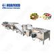 Stainless Steel Food Drying Machine Fresh Root Vegetables Washing Machine