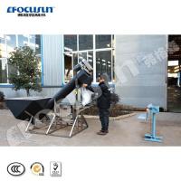 Video Outgoing-Inspection Provided Semi-Automatic Ice Packing Machine with Best