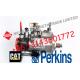 Fuel Injection Pump 9521A030H 398-1498 3981498 For Caterpillar Excavator 320D2 E320D2 Engine