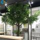 2m Artificial Tree Plant , Decorative Large Ficus Bailey Tree With Wood Trunk