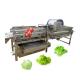 220v/ 380v/ Customized Salad Helix Washing Machine for Farms Fresh Cut Vegetables