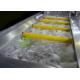 Industrial Fruit And Vegetable Cleaner Machine / Washer Machine Brush Type