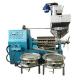 heat and cold press home oil extractor pine nut, almond, coconut oil press machine olive kernel cold oil expeller