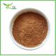 100% Natural Green Tea Extract EGCG Polyphenols Green Tea Extract Powder Capsules
