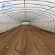 Agricultural Single Span Tunnel Strawberry PE Greenhouse Tunnel Plastic Greenhouse