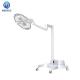 Surgical Clinic Theater Delicated Professional LED Light Mobile Type Shadowless Medical Operating Lamp ECOP003