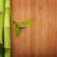 Natural Beauty Bamboo Floor Tiles 100% Bamboo Flooring For Interiors