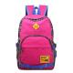 Laptop bags college school backpack pink best backpacks  purse
