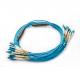 G657A1 LC UPC Fan Out Patch Cord , 12 Core Single Mode Armoured Fiber Optic Patch Cord