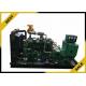 Natural / Biogas / Gas Generator Set With 50 Kw Ricardo Series Engine