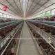 Best Layer Poultry Farm Chicken Cage For Laying Hens 4 Tiers Mia