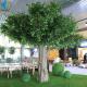 Faux Green Indoor Banyan Tree 6m Height Customized Design Long Use Life