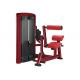 OEM Back Extension Gym Physical Workout Equipments