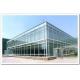 Modern Glass Curtain Wall for Soundproofing and Light Adjustment