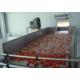 Industrialized Fruit And Vegetable Processing Line For Date Washing And Elevator