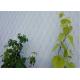 304 / 316 Stainless Steel Cable Trellis , Stainless Steel Green Wall Mesh