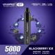 13ml Oil Blackberry Ice Vape Pod Black 1800mAh 5000 Puff
