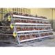 160 Birds Farming Battery Cage Hens With Automatic Water System