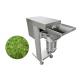 Large Fruit And Vegetable Cutting Machine Ginger Garlic Chopper 1000kg/h