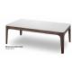 wooden low coffee table furniture