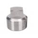 1/2 NPT Male Pipe Fittings , SS304 Solid Square Head Plug
