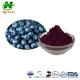 FDA Antioxidant Powder 10%-25% Bilberry Extract Powder Bilberry Vaccinium Myrtillus Extract