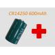 1/2AA Anti Corrosion Lithium Cell Batteries 600mAh Glass To Medical Devices Non-rechargeable Gas Meter  NB-IoT Meter
