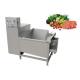2.25KW Commercial Vegetable Fruit Washing Machine 500KG/H