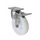 Stainless 5 120kg Plate Brake Tpa Caster S5425-25 with Tpa Wheel Material Option
