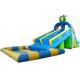 Dual Slide Inflatable Water Park Pool In Frog Design For Kids And Adult