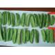 BRC No Residue IQF Frozen Pea Pods For Catering