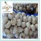 fresh high quality natural garlic for sale quality china agriculture food